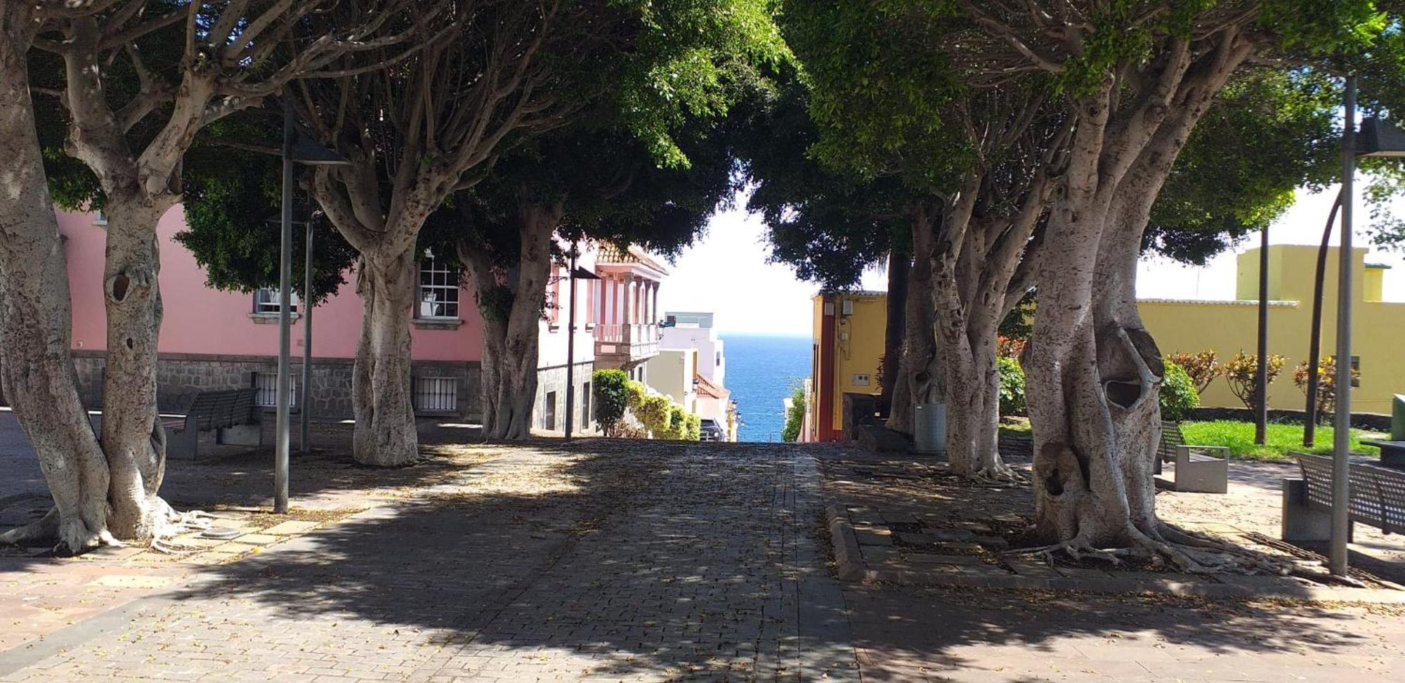 El Sueno Del Angel Santa Cruz de la Palma (Isla de la Palma) Exterior foto